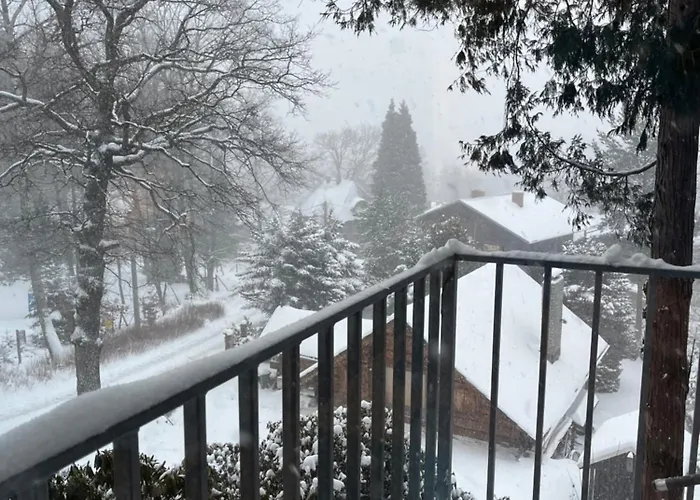 Wiktoria Шклярска-Поремба